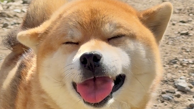 笑顔の福ちゃん