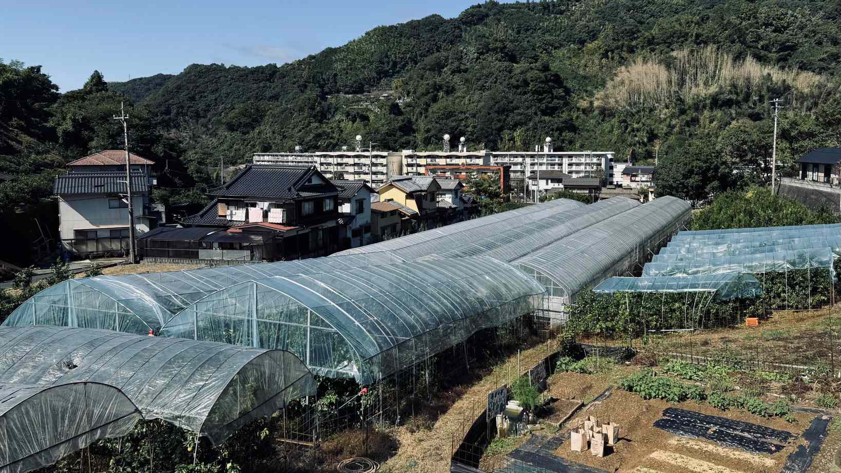 ビニールハウスの風景