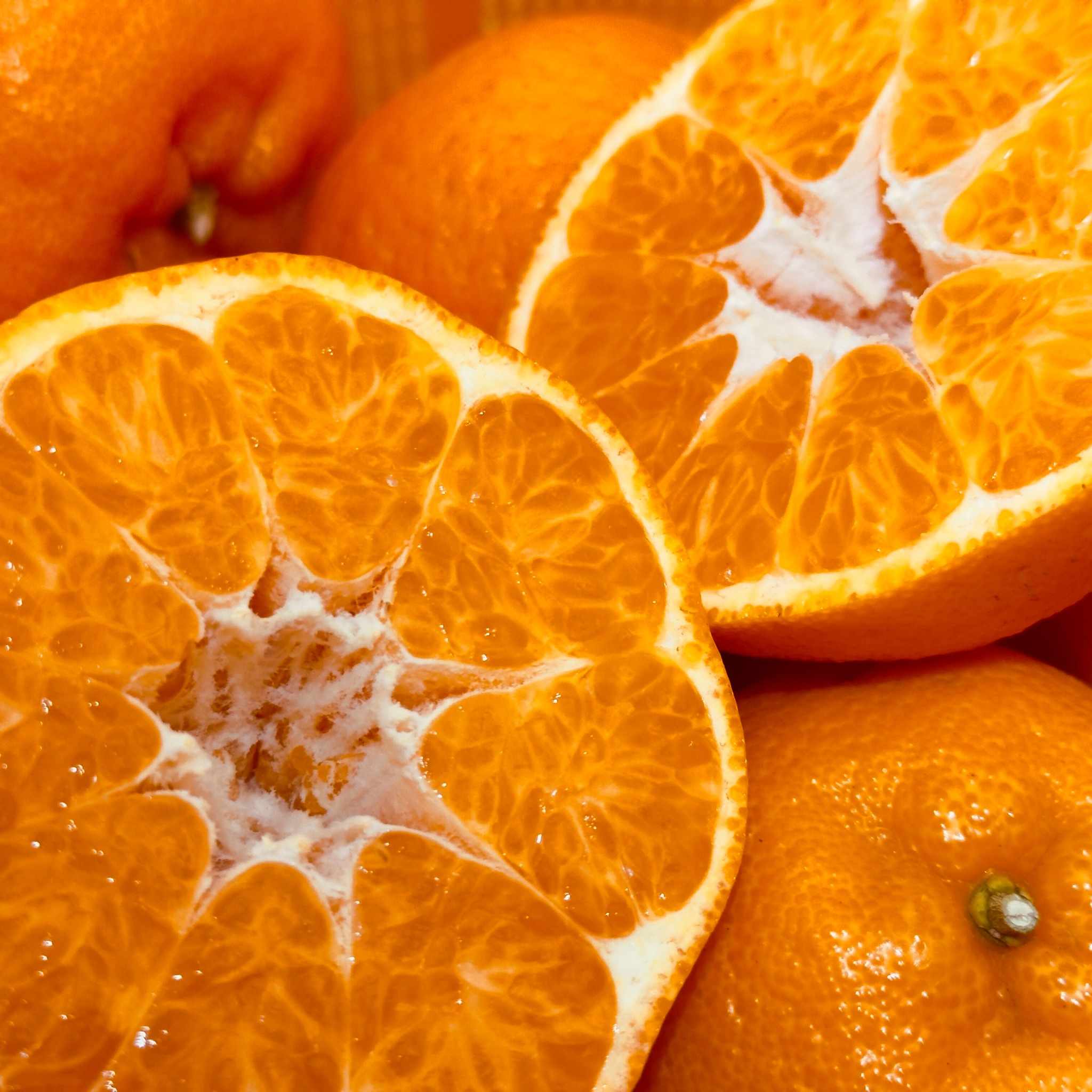 太田ぽんかんの写真