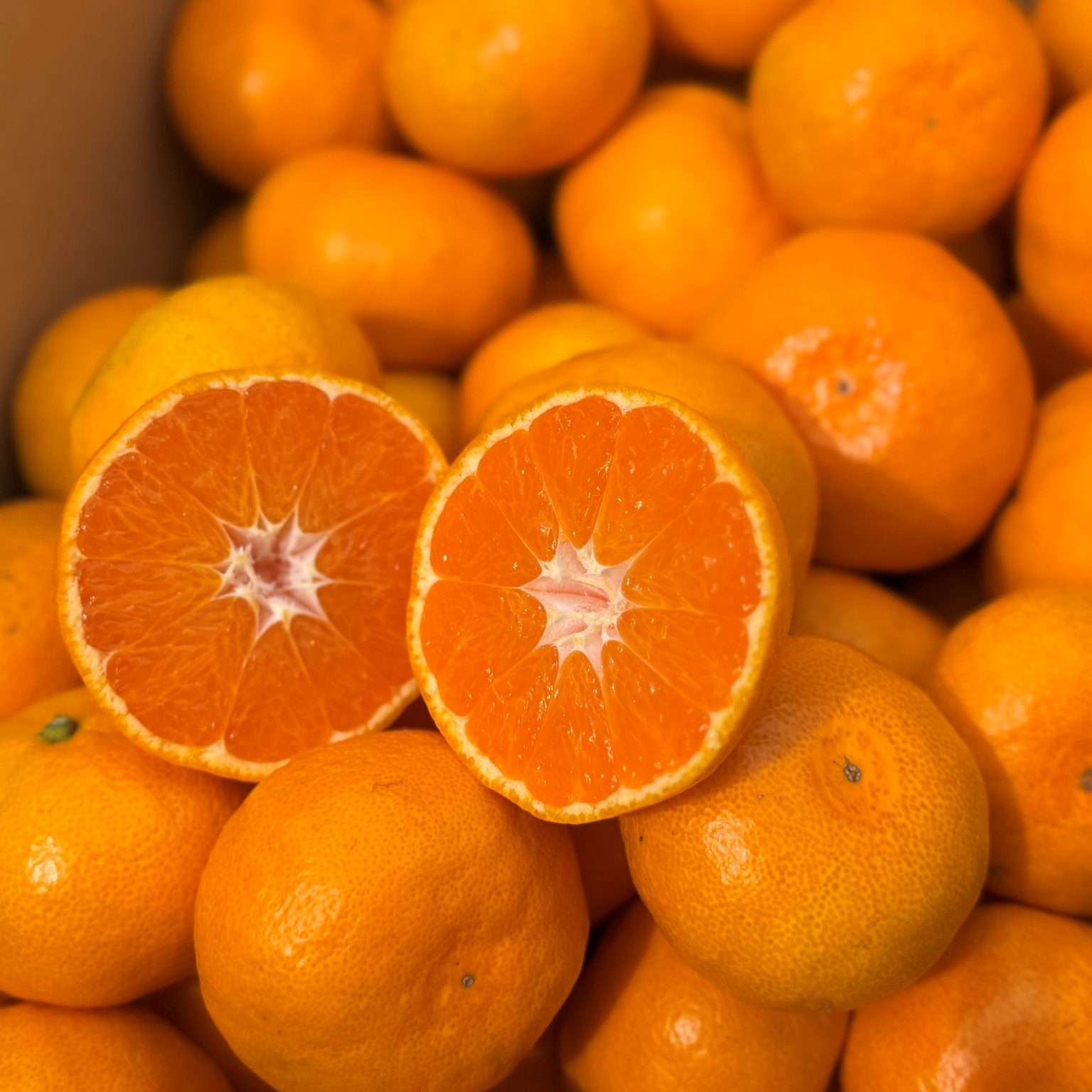 福みかんの写真